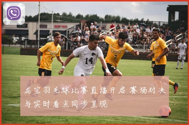 龙宝羽毛球比赛直播开启 赛场对决与实时看点同步呈现