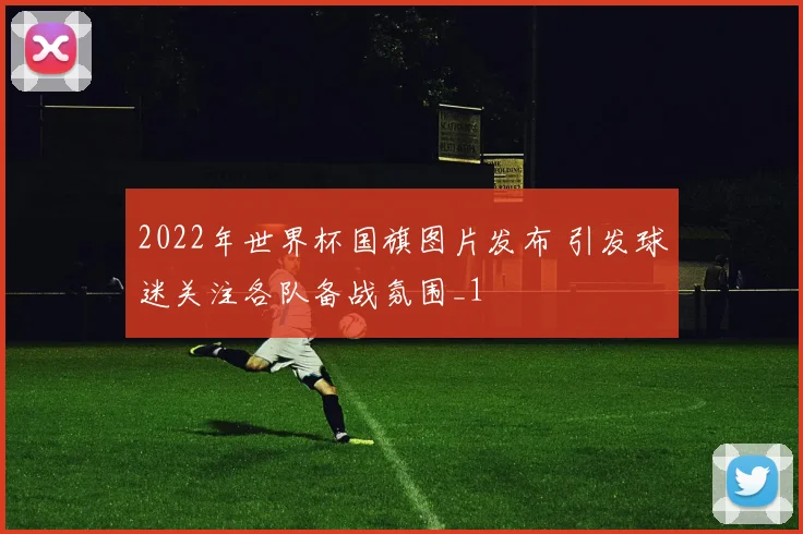 2022年世界杯国旗图片发布 引发球迷关注各队备战氛围_1