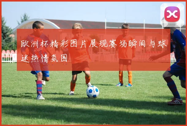 欧洲杯精彩图片展现赛场瞬间与球迷热情氛围