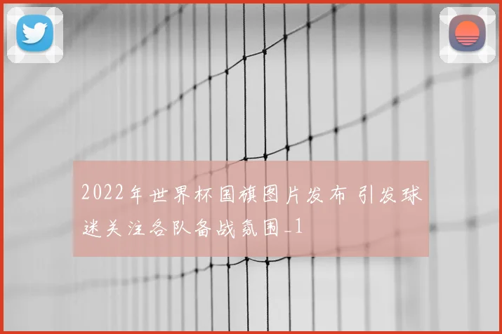 2022年世界杯国旗图片发布 引发球迷关注各队备战氛围_1