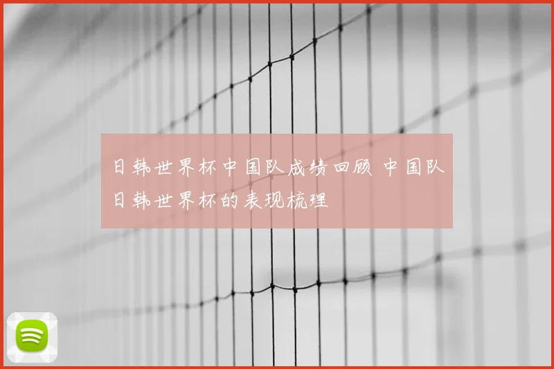 日韩世界杯中国队成绩回顾 中国队日韩世界杯的表现梳理