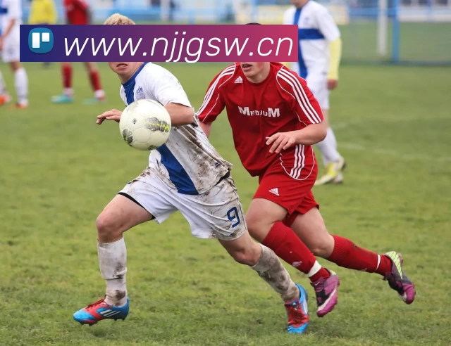 开云app官方登录入口 - 开云(中国)APP 封面图